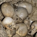 cave_skull_hil_mb_v_0119_png1169.jpg